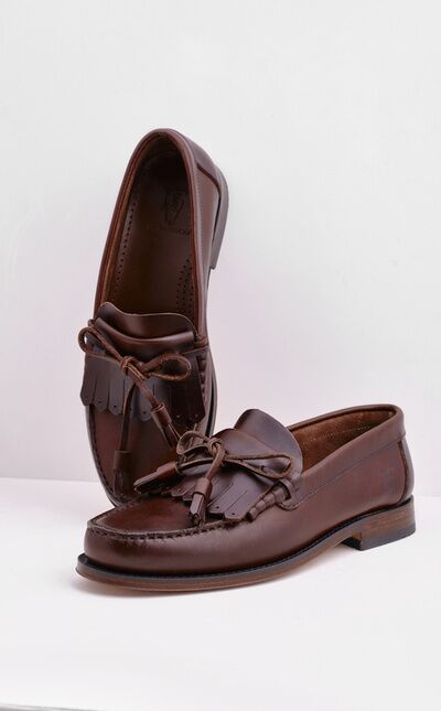 Zapato Courbette