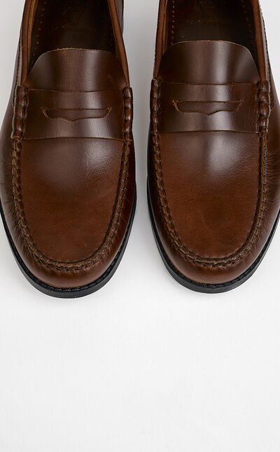 Zapato Licart