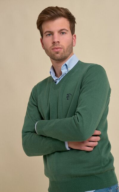 V-neck sweater | Cactus