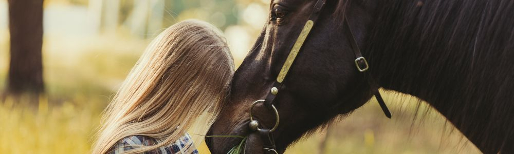 Hipoterapia: qué es, a quién se dirige y beneficios del tratamiento